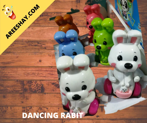 BUY PREMIUM QUALITY RABIT TOY WITH KEY ONLINE