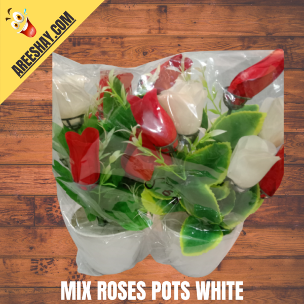 MIX ROSES IN WHITE POTS PAIR