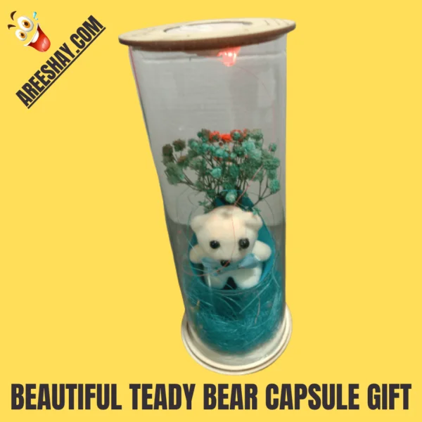 BEAUTIFUL TEDDY BEAR CAPSULE GIFT