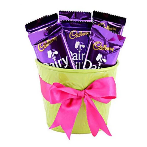 Dairy Milk Chocolates 12 pcs