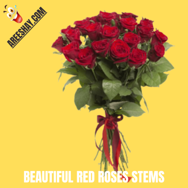 BEUATIFUL RED ROSES STEMS