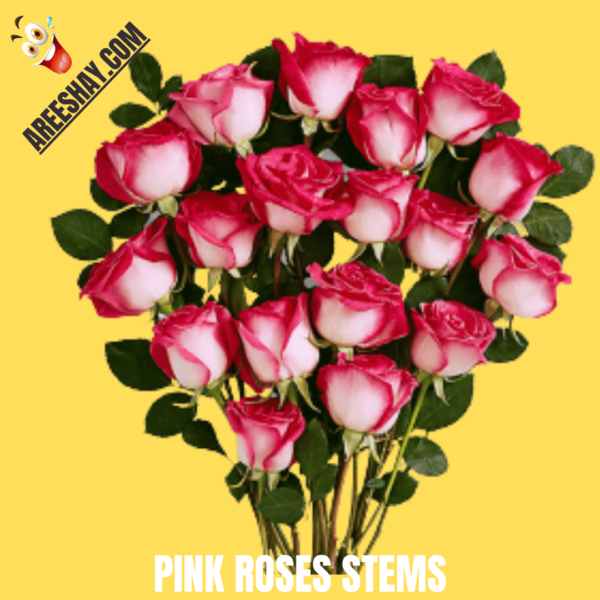 PINK ROSES STEMS