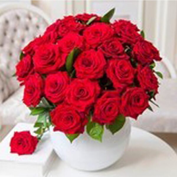 Luxury 24 Red Roses | Fresh Flowers