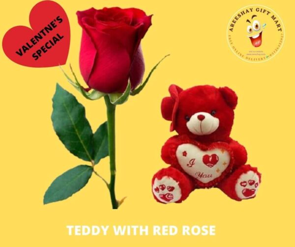 RED BIG TEDDY WITH SINGLE RED ROSE