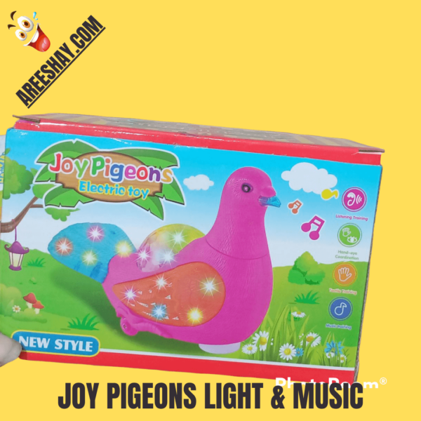 JOY PIGEONS LIGHT & MUSIC