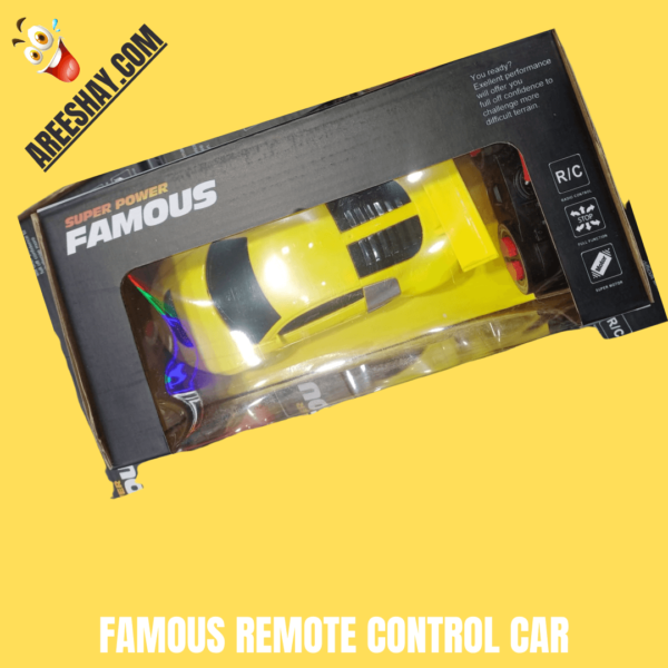 FAMOUS REMOTE CONTROL CAR