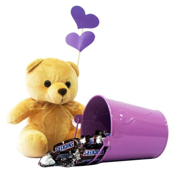 Teddy Bear with Snickers Pack